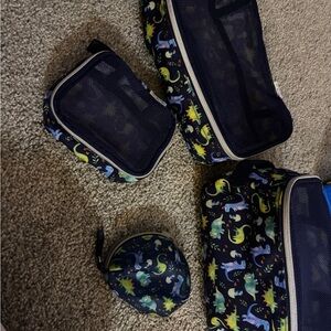 Dinosaur Print Travel Organizer Set